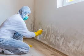 Best Mold Damage Restoration  in Seville, FL