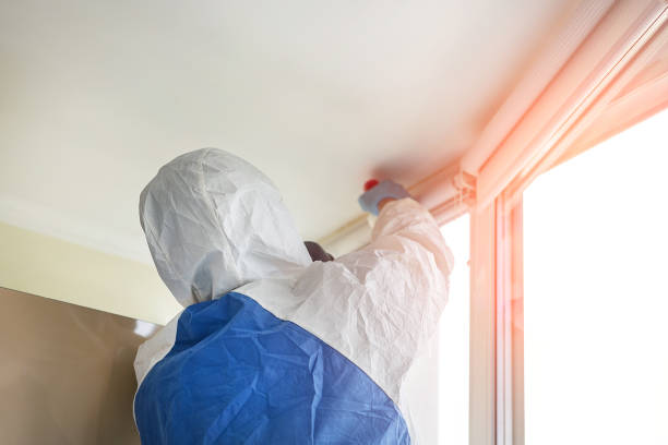 Best Mold Odor Removal Services  in Seville, FL